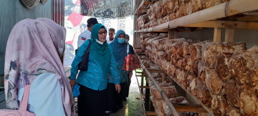 Lomba Hatinya PKK